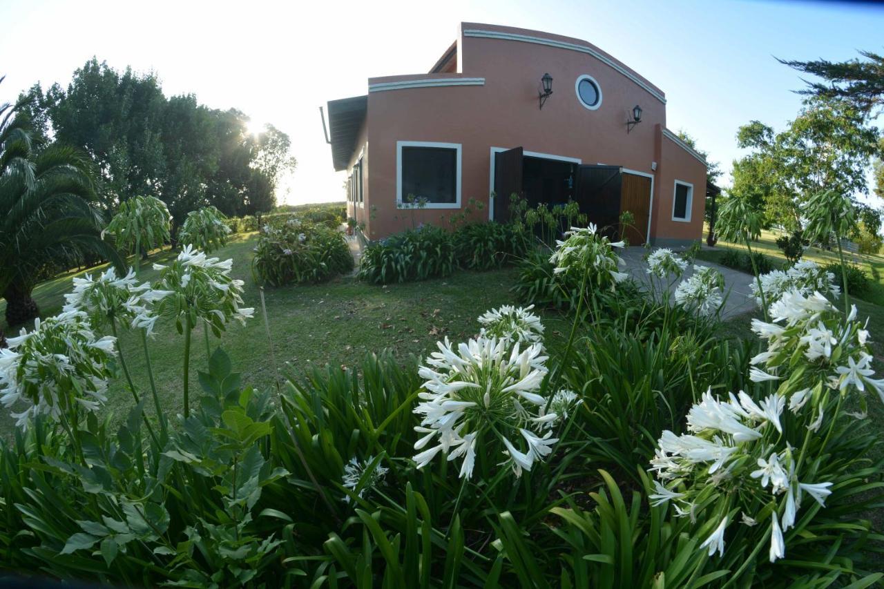 La Monturera, Loft De Campo Apartment Colonia del Sacramento Ngoại thất bức ảnh
