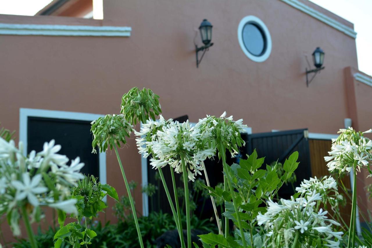 La Monturera, Loft De Campo Apartment Colonia del Sacramento Ngoại thất bức ảnh
