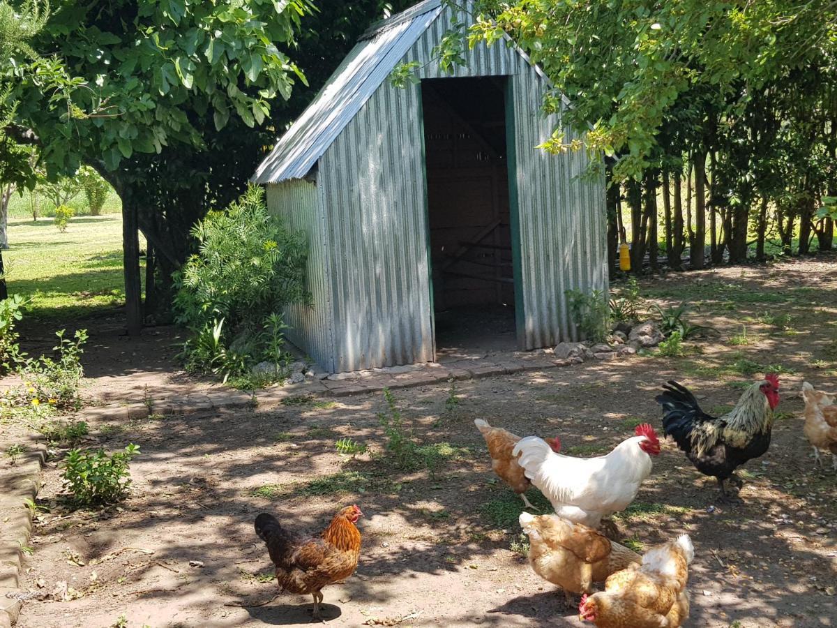 La Monturera, Loft De Campo Apartment Colonia del Sacramento Ngoại thất bức ảnh