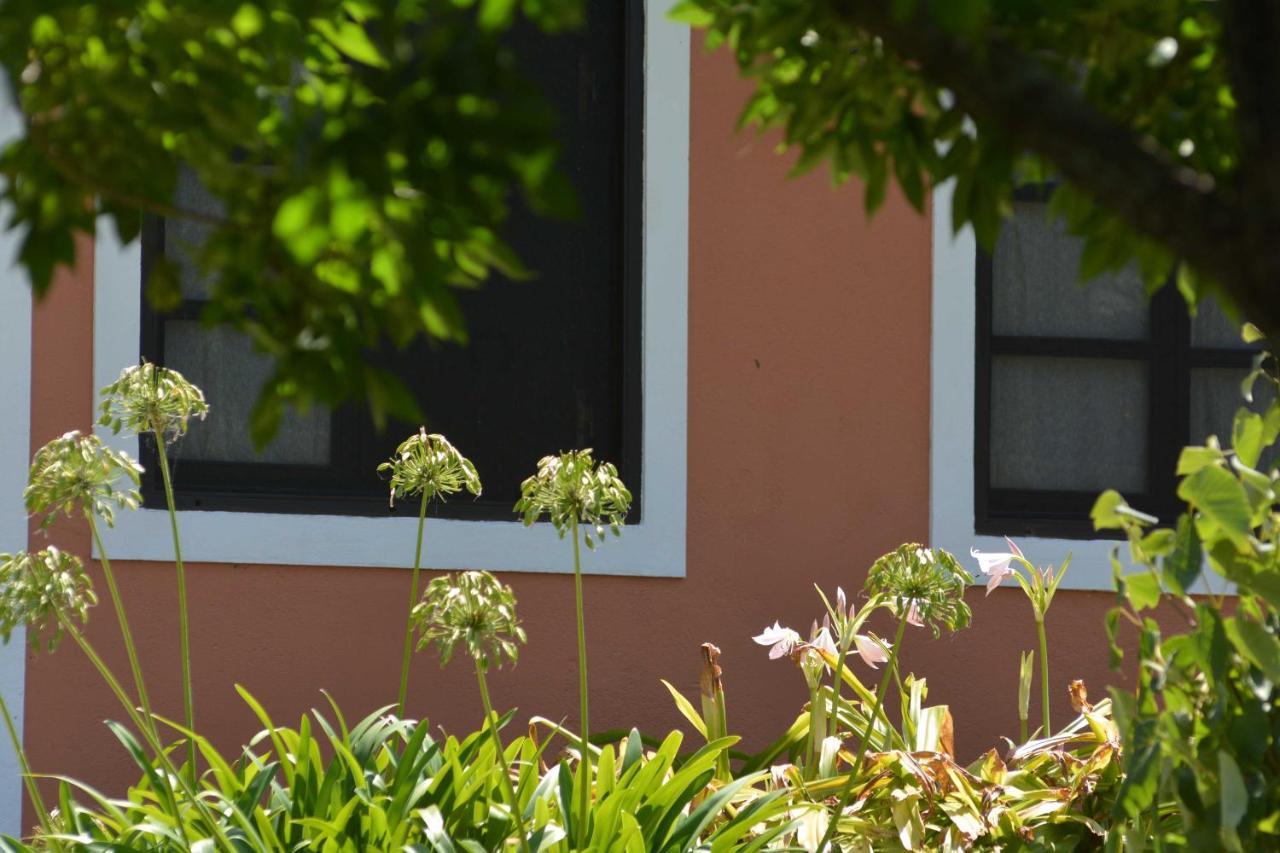 La Monturera, Loft De Campo Apartment Colonia del Sacramento Ngoại thất bức ảnh